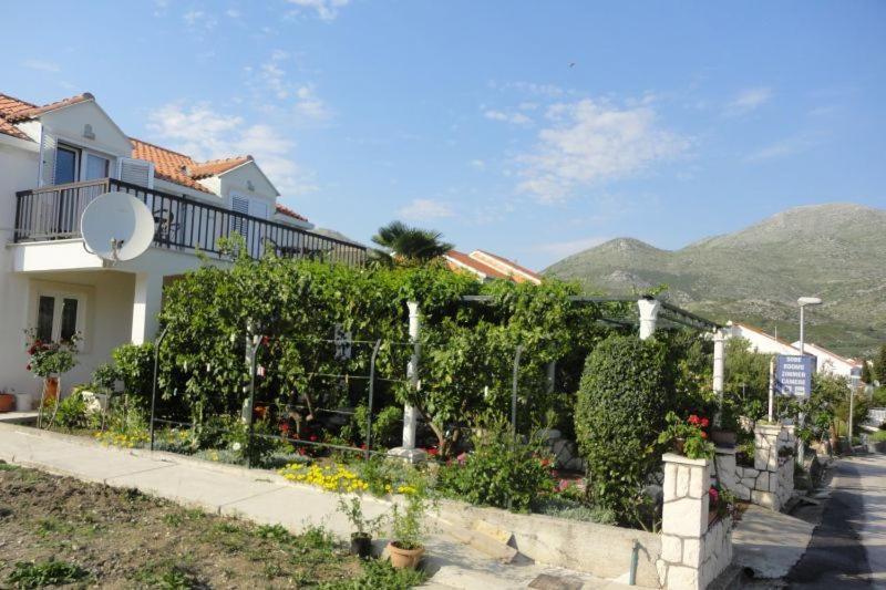 Guest House Pavkovic Slano Esterno foto